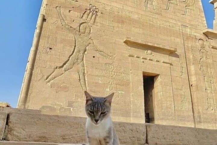 VIP Private Tour to Abu Simbel from Luxor with Lunch