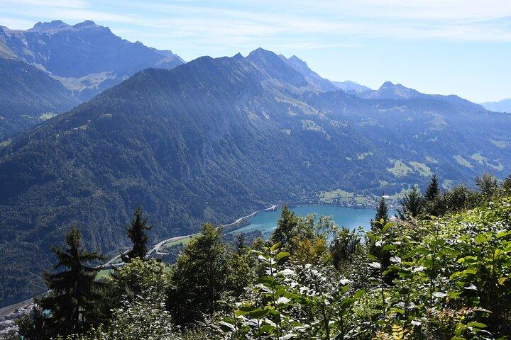 Transfert privé panoramique de Bâle à Zurich avec arrêts alpins 1–4 pax