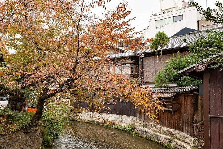 京都祇園ナイトガイド付きウォーキングツアー3時間