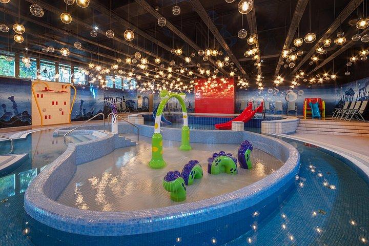 ブダペスト : シラゲギの湯とウォーターパークのチケット