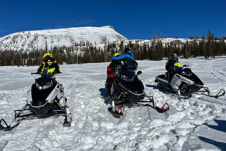 Aventura guiada de 3 horas en moto de nieve