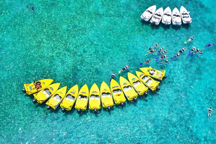 Mangrove Jungle Speedboat Erfahrung