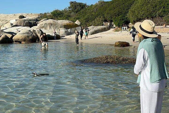 Half Day Adventure Penguin Encounter at Boulders Beach