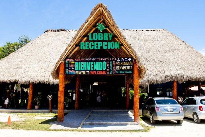 Parque Natural Casa Tortuga, Explora 5 Cenotes con almuerzo buffet