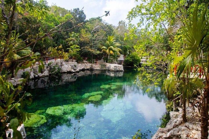 Parque Natural Casa Tortuga, Explora 5 Cenotes con almuerzo buffet