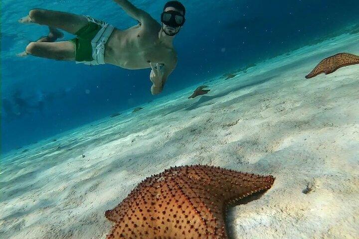Ontdek El Cielo en Cozumel Snorkelen Avontuur