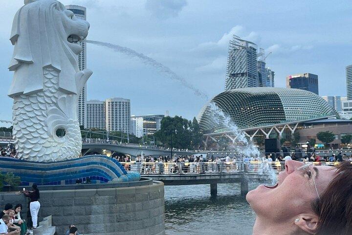 Singapore begeleide nachttour met 2 lichtshows en riviercruise
