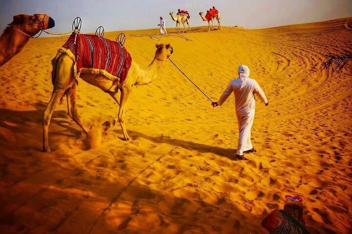 Dubai Desert Safari, ATV Bike, SandBoarding, Camel Ride & BBQ
