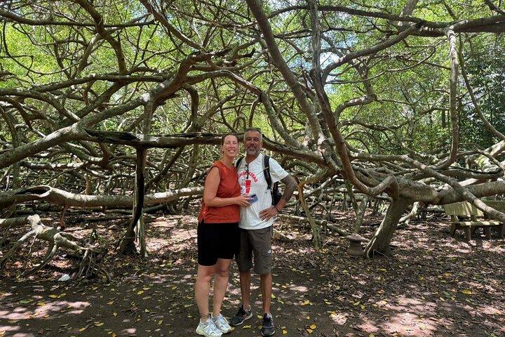 Can Tho : Lung Ngoc Hoang Nature Reserve & Hidden Forests