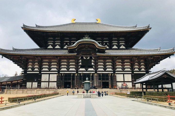Nara: Private Tour with Deer Park & Temples with a Licensed Guide