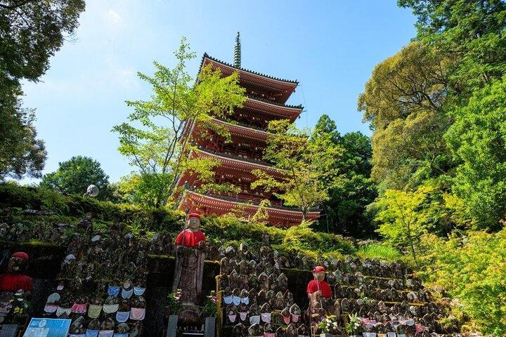 高知港発海岸周遊1日プライベート高知ツアー