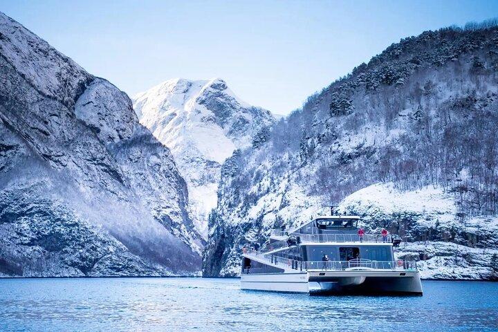 冬のバイキング村、ネーロイフィヨルドクルーズ、フロム鉄道ツアー