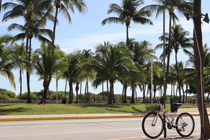 Miami Murder Mystery : Self-Guided Detective Walk
