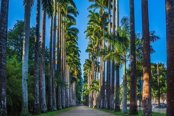 Tour Privado por Río : Jardín Botánico y Parque Nacional Tijuca