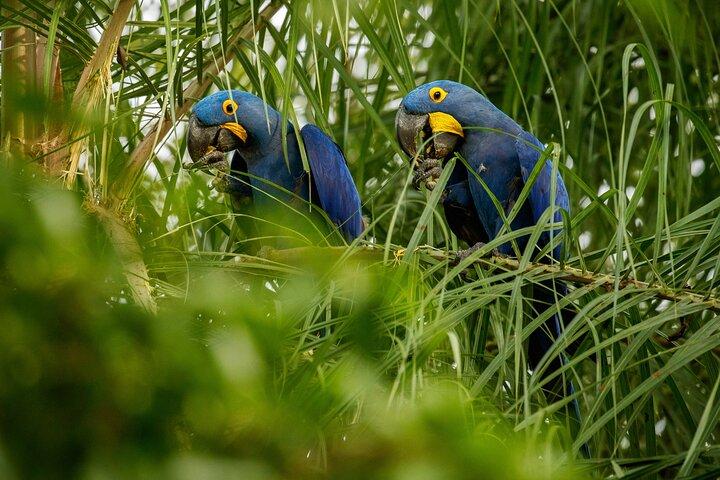 プライベートリオツアー：植物園とティフカ国立公園