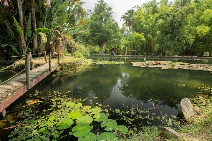 プライベートリオツアー：植物園とティフカ国立公園