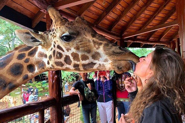Nairobi Park und Giraffe Center Halbtagestour