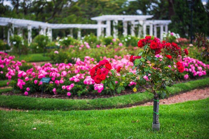 Buenos Aires Palermo Woods Highlights Walk