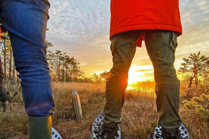 De Riga : Balade en chaussons dans la nature sauvage de Lettonie ENG ou DE