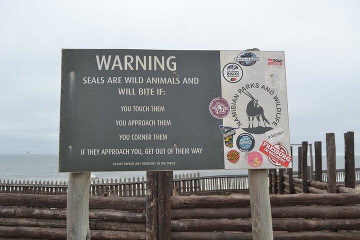 Cape Cross Seal Colony og Skeletkysten af Namibia