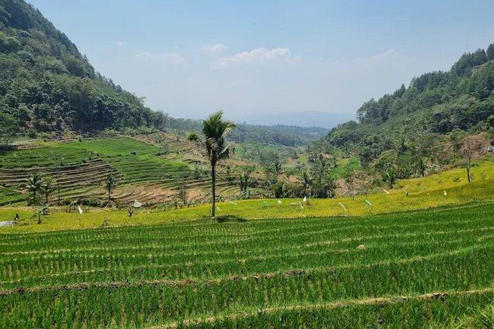 Tagestour nach Nepal Van Java & Selogriyo Tempel von Yogyakarta