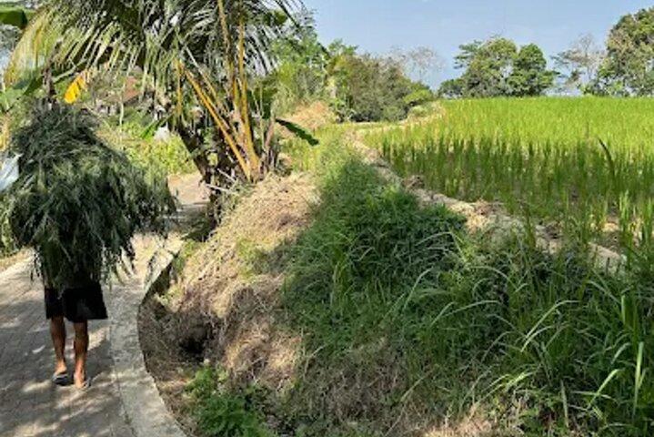 Tagestour nach Nepal Van Java & Selogriyo Tempel von Yogyakarta