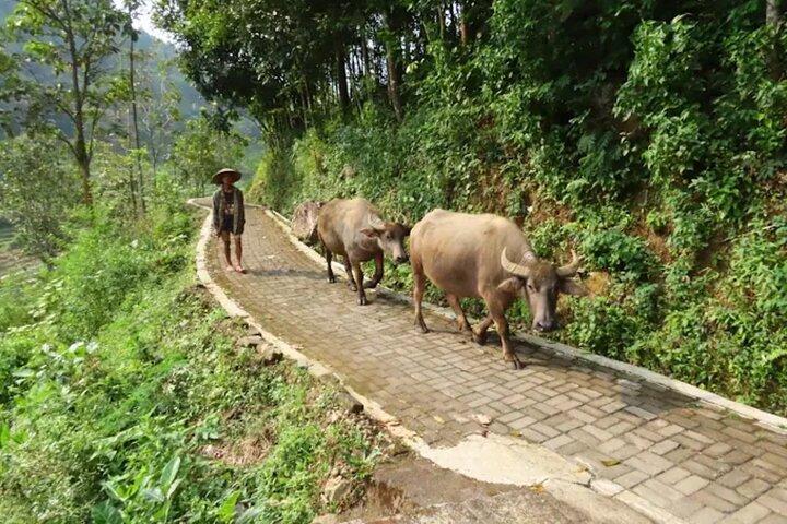 Tagestour nach Nepal Van Java & Selogriyo Tempel von Yogyakarta