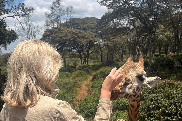 Explore Nairobi National Park with Transportation