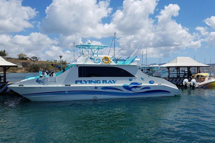 St. Lucia Airport Veerboot - Transfer van Resort naar Hewanorra (UVF)