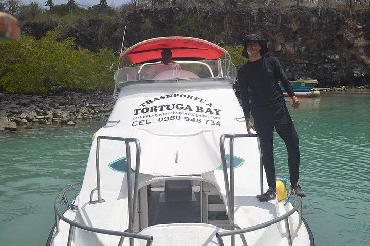 Turtle Bay ferry Isabela ll
