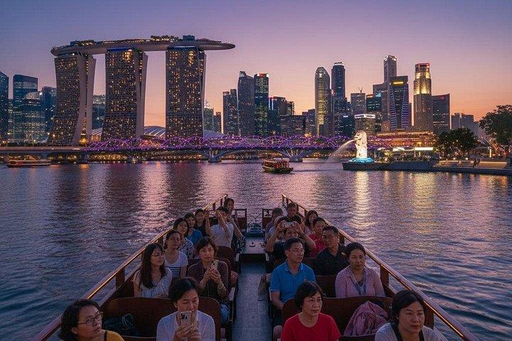シンガポール・シティ・ライトツアー：ガーデン・バイ・ザ・ベイ、スーパーツリー・ラプソディ