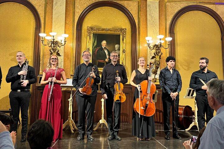 Wien Private Klassik Tour : Museumseintritt & Konzert