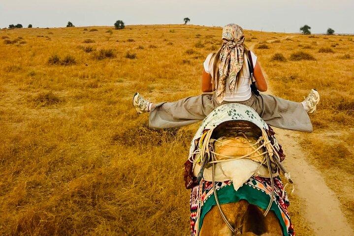 Jaisalmer : 2 - Tag Thar Wüste Erfahrung