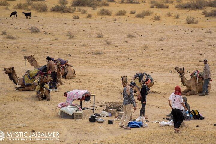 Jaisalmer : 2 - Tag Thar Wüste Erfahrung