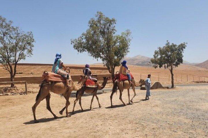 Tour di 10 giorni in Marocco da Marrakech: Deserto, Fes e Casablanca