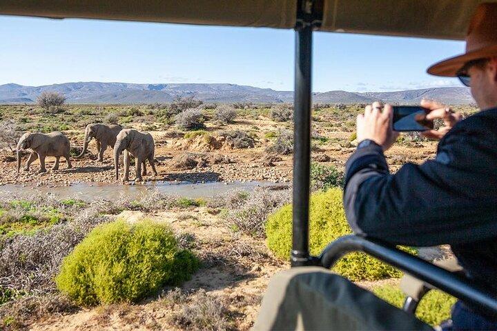 2 - Day Inverdoorn Safari - Big Five Cape Town Experience