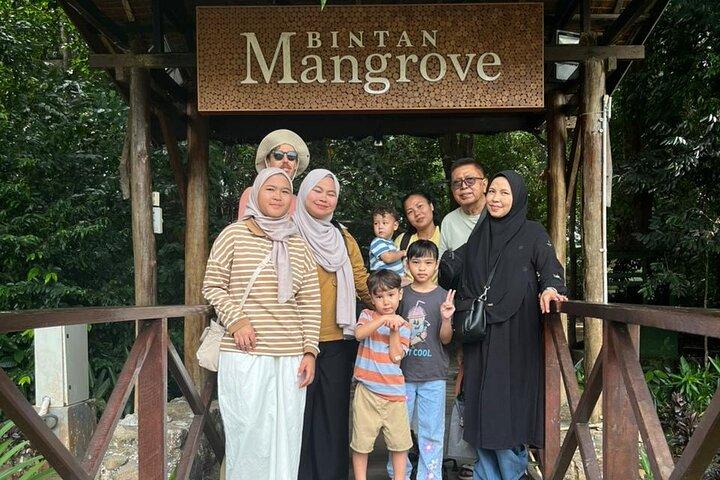 Tour di mangrovie e lucciole di Bintan