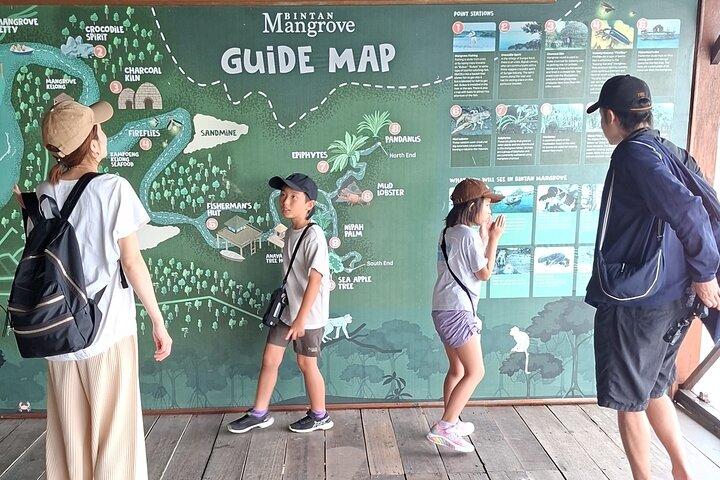 Tour di mangrovie e lucciole di Bintan