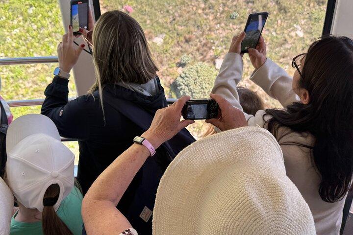 Table Mountain Experience Fast Track Skip Queue Pre-Booked Ticket
