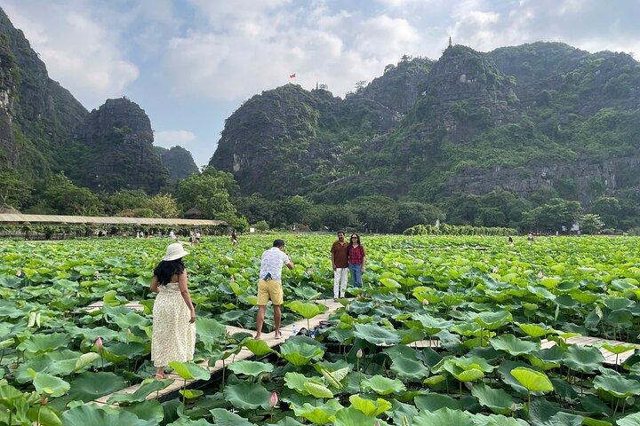 Ninh Binh Private Full-Day Tour from Hanoi
