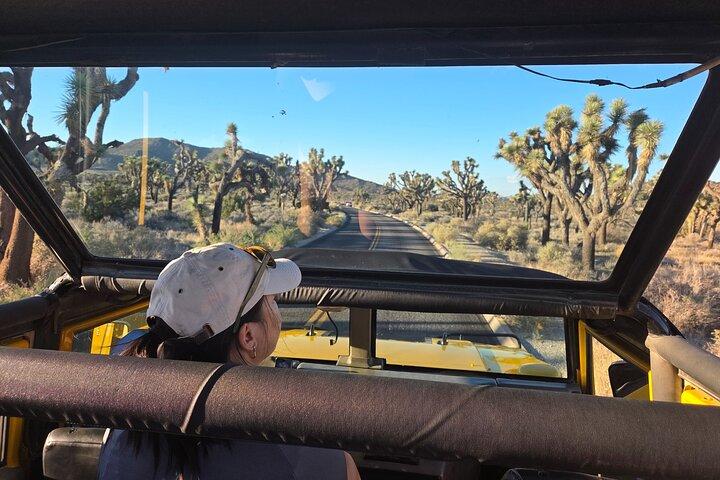 Joshua Tree friluftsäventyr