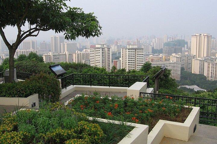 Singapore kulturtur med botanisk trädgård