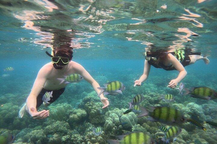 Koh Lipe 4 Islands Snorkeling og solnedgang med Longtail Boat