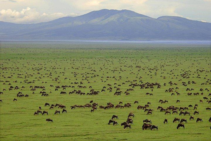 Serengeti Great Migration 5 Days Mara River crossing