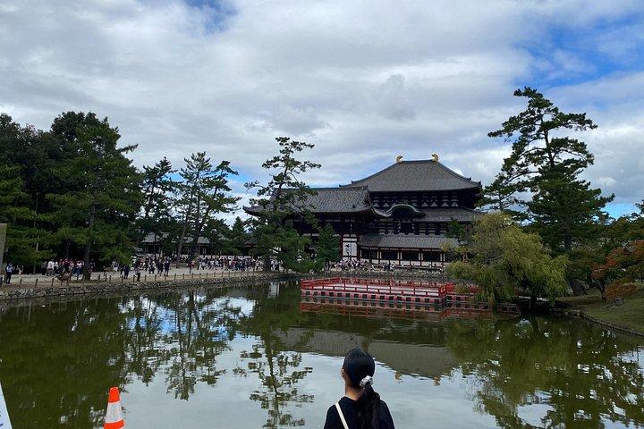 Nara Highlights Guided Tour by Private Car from Osaka