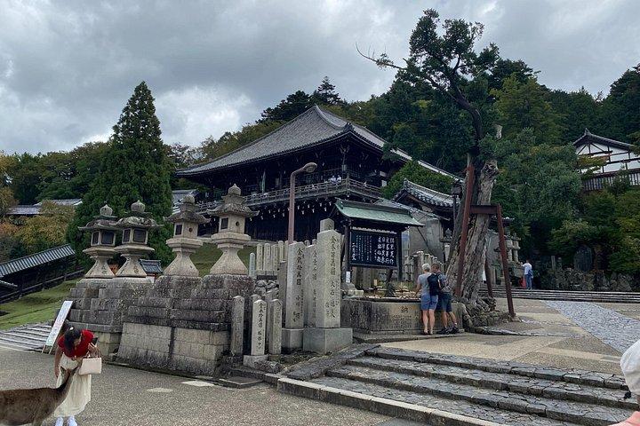 Nara Highlights Guided Tour by Private Car from Osaka