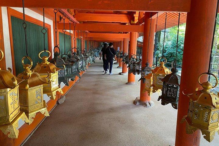 Nara Highlights Guided Tour by Private Car from Osaka