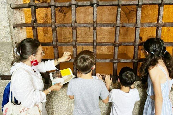 Doge's Palace skip the line with a guide architect