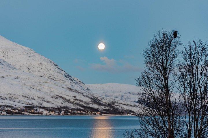 PRIVATE 5 Fjords Tour by Minivan in 4 Hours