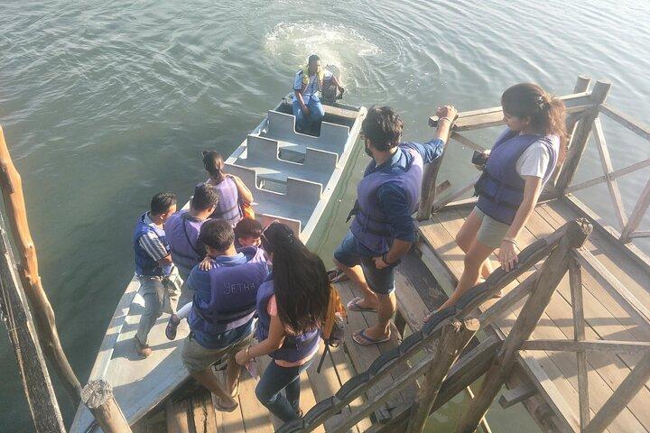 Tour di mangrovie e lucciole di Bintan